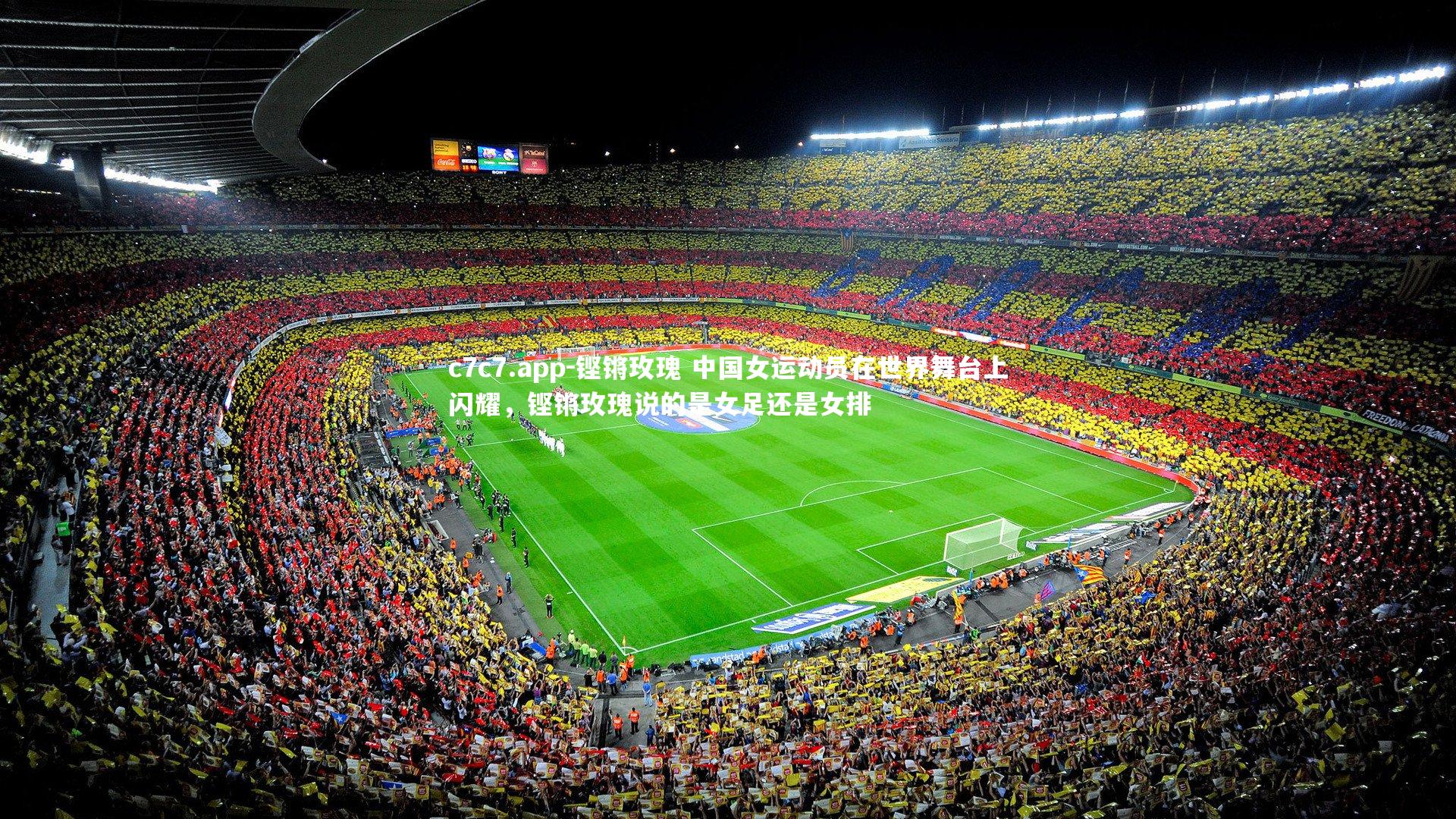 铿锵玫瑰 中国女运动员在世界舞台上闪耀,铿锵玫瑰说的是女足还是女排