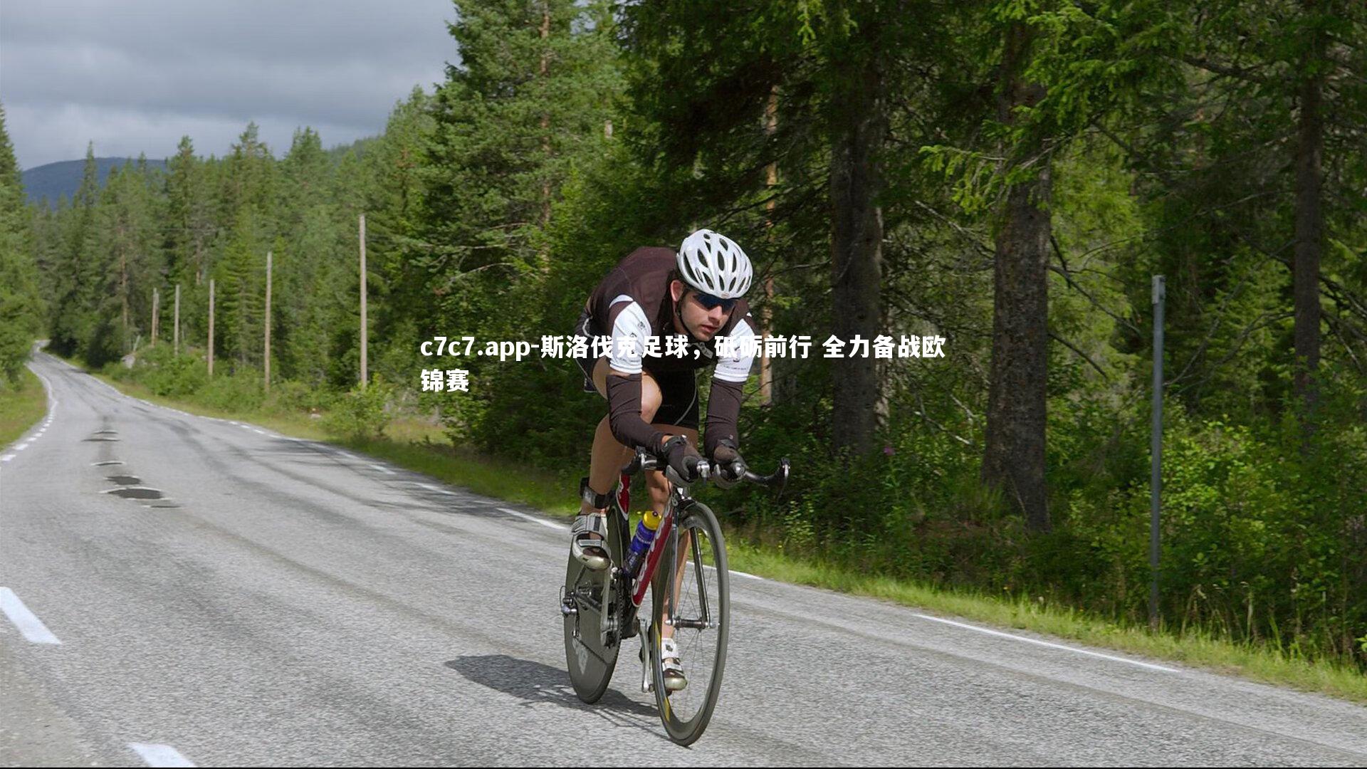 斯洛伐克足球，砥砺前行 全力备战欧锦赛