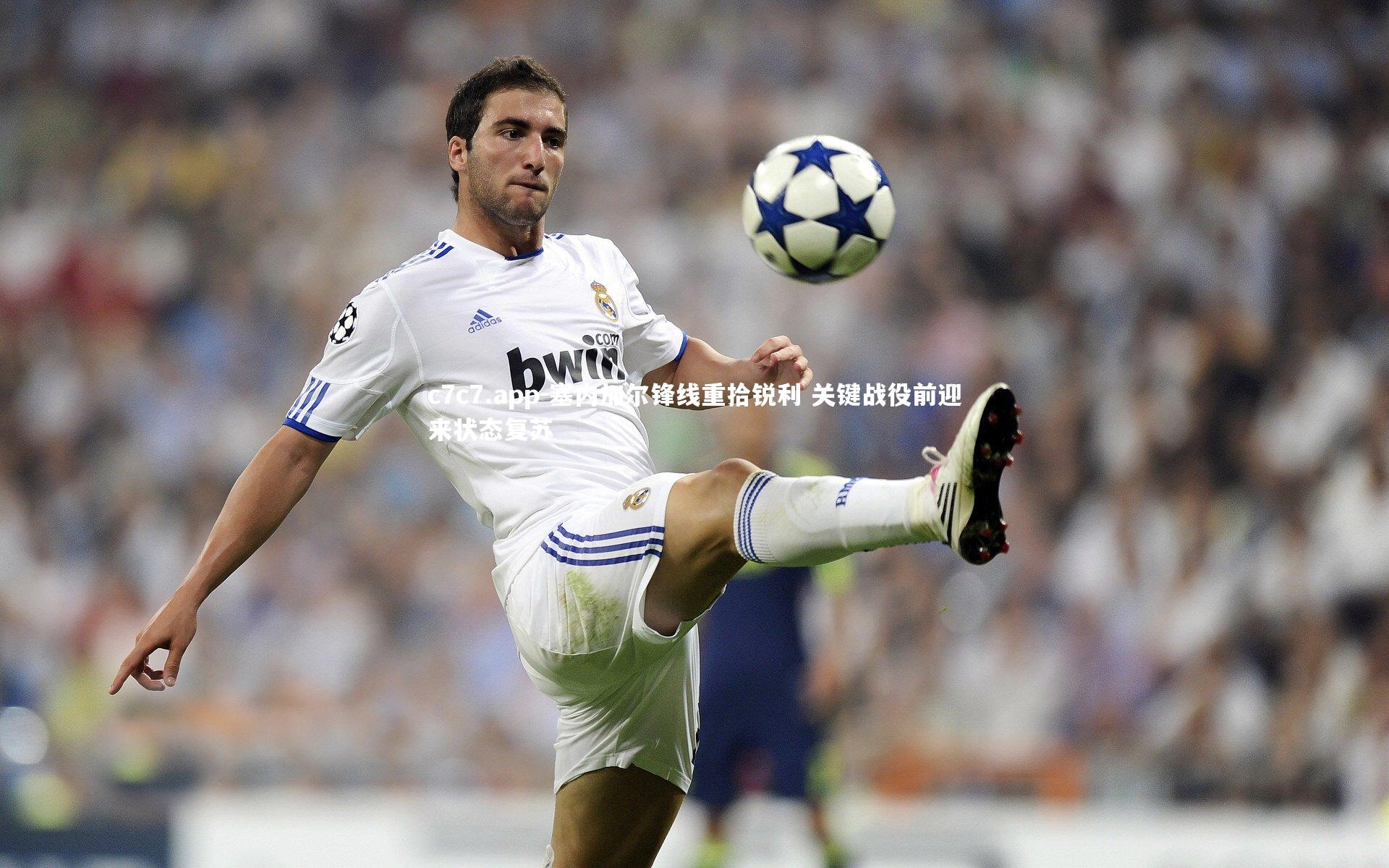 塞内加尔锋线重拾锐利 关键战役前迎来状态复苏